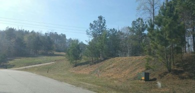 Welcome to 915 N Edgewater Trail-an exceptional homesite in the on Currahee Golf Club in Georgia - for sale on GolfHomes.com, golf home, golf lot