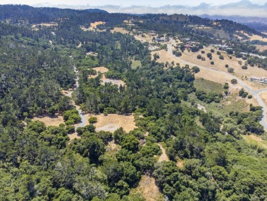 Welcome to your dream property! This sunny, private oasis offers on Tehama Golf Club in California - for sale on GolfHomes.com, golf home, golf lot