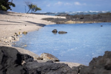 Prime Mauka Opportunity in Puako - Build Your Dream Home across on Mauna Lani Resort Golf Course in Hawaii - for sale on GolfHomes.com, golf home, golf lot
