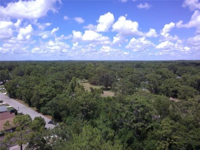 Discover the charm of living in the beautiful Sugar Mill Woods on Sugarmill Woods Golf and Country Club in Florida - for sale on GolfHomes.com, golf home, golf lot