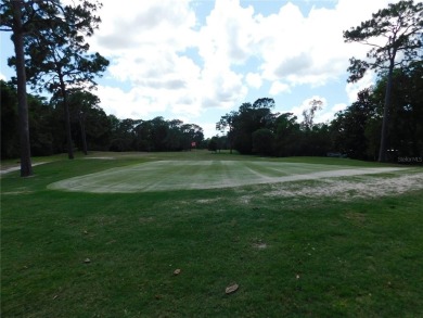 Discover the charm of living in the beautiful Sugar Mill Woods on Sugarmill Woods Golf and Country Club in Florida - for sale on GolfHomes.com, golf home, golf lot