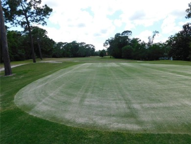 Discover the charm of living in the beautiful Sugar Mill Woods on Sugarmill Woods Golf and Country Club in Florida - for sale on GolfHomes.com, golf home, golf lot