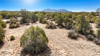 Welcome to the Allure plan, designed for effortless living with on Talking Rock Golf Club in Arizona - for sale on GolfHomes.com, golf home, golf lot