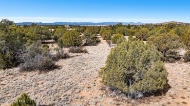 Welcome to the Allure plan, designed for effortless living with on Talking Rock Golf Club in Arizona - for sale on GolfHomes.com, golf home, golf lot