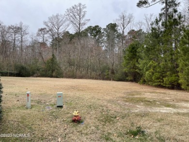 This beautiful homesite is located on Pee Dee Dr. in Albemarle on Sound Golf Links at Albemarle Plantation in North Carolina - for sale on GolfHomes.com, golf home, golf lot