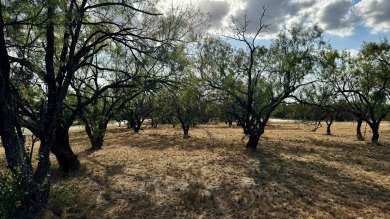 Great lot in Slick Rock Creek, a private residential community on Slick Rock Golf Course - Horseshoe Bay in Texas - for sale on GolfHomes.com, golf home, golf lot