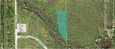 This 3.40-acre vacant residential lot on Althea Drive, Florida on Indian Lake Estates Golf and Country Club in Florida - for sale on GolfHomes.com, golf home, golf lot