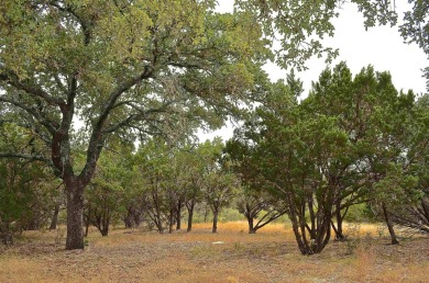 Take advantage of this incredible opportunity to own 3 on Slick Rock Golf Course - Horseshoe Bay in Texas - for sale on GolfHomes.com, golf home, golf lot