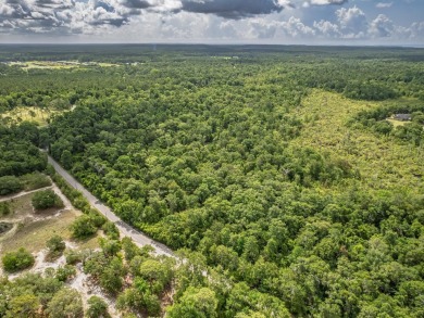 5 quiet acres located on the outskirts of Crawfordville. Minutes on Wildwood Country Club in Florida - for sale on GolfHomes.com, golf home, golf lot