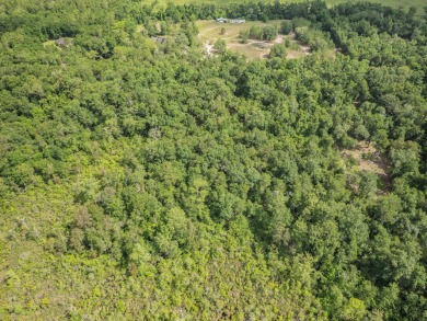 5 quiet acres located on the outskirts of Crawfordville. Minutes on Wildwood Country Club in Florida - for sale on GolfHomes.com, golf home, golf lot