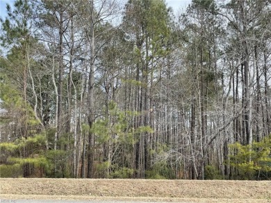 Nice wooded lot on cul de sac street in Stonehouse. This on The Tradition Golf Club At Stonehouse in Virginia - for sale on GolfHomes.com, golf home, golf lot