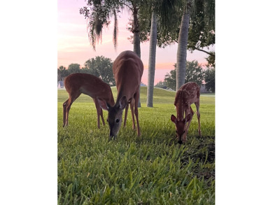 GRAND, GOLF COURSE POOL HOME! on Country Club of Sebring in Florida - for sale on GolfHomes.com, golf home, golf lot