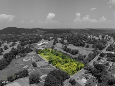 Attention Developers and Investors. Here is an opportunity you on Johnson City Country Club in Tennessee - for sale on GolfHomes.com, golf home, golf lot