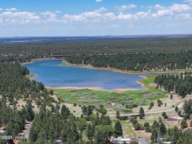 This is what you've been searching for! Incredibly well crafted on Bison Golf and Country Club in Arizona - for sale on GolfHomes.com, golf home, golf lot