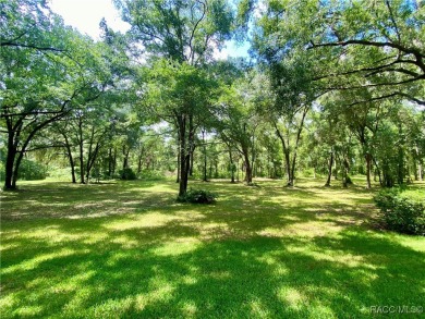 Discover the charm of Florida living in this rarely available on Rainbow Springs Golf and Country Club in Florida - for sale on GolfHomes.com, golf home, golf lot