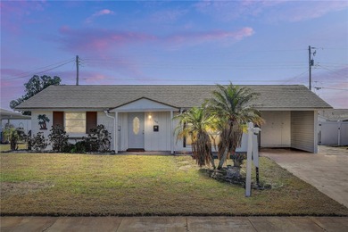 Nestled within the heart of Sun City Center, 708 Tam O'Shanter on North Lakes Golf Course in Florida - for sale on GolfHomes.com, golf home, golf lot