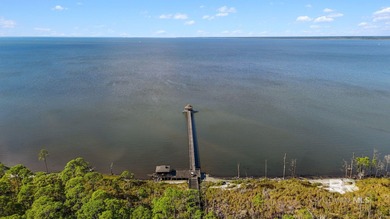Gulf Coast living at it's best. The Peninsula a Gated 27 hole on Peninsula Golf and Racquet Club in Alabama - for sale on GolfHomes.com, golf home, golf lot