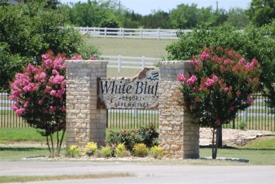 Not many water view lots left. Take a leisure walk to the North on White Bluff Resort - New Course in Texas - for sale on GolfHomes.com, golf home, golf lot