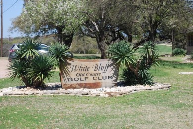 Not many water view lots left. Take a leisure walk to the North on White Bluff Resort - New Course in Texas - for sale on GolfHomes.com, golf home, golf lot