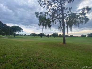 Welcome to your dream home in one of Summerfield's most on Stonecrest Golf and Club Club in Florida - for sale on GolfHomes.com, golf home, golf lot
