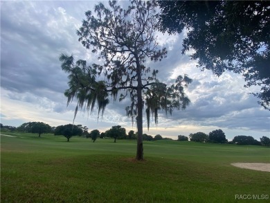 Welcome to your dream home in one of Summerfield's most on Stonecrest Golf and Club Club in Florida - for sale on GolfHomes.com, golf home, golf lot