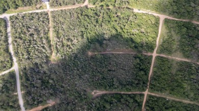 Nice lot in Tahitian Village ready for your personal touch on Pine Forest Golf Club in Texas - for sale on GolfHomes.com, golf home, golf lot