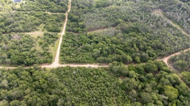 Nice lot in Tahitian Village ready for your personal touch on Pine Forest Golf Club in Texas - for sale on GolfHomes.com, golf home, golf lot