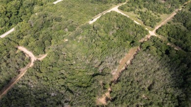 Nice lot in Tahitian Village ready for your personal touch on Pine Forest Golf Club in Texas - for sale on GolfHomes.com, golf home, golf lot