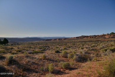 Opportunity in the Heart of the Grand Circle Recreation Areas on Lake Powell National Golf Course in Arizona - for sale on GolfHomes.com, golf home, golf lot