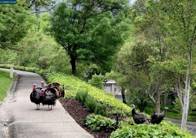 This bright and cheerful Sequoia Wrap end-unit feels like a on Rossmoor Golf Course in California - for sale on GolfHomes.com, golf home, golf lot