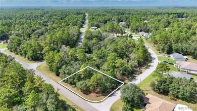 GREAT CORNER LOT! Build Your Dream Home On This High & Dry on Citrus Springs Country Club in Florida - for sale on GolfHomes.com, golf home, golf lot