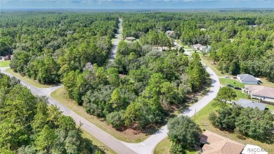 GREAT CORNER LOT! Build Your Dream Home On This High & Dry on Citrus Springs Country Club in Florida - for sale on GolfHomes.com, golf home, golf lot