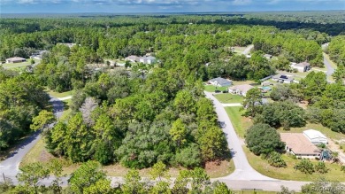 GREAT CORNER LOT! Build Your Dream Home On This High & Dry on Citrus Springs Country Club in Florida - for sale on GolfHomes.com, golf home, golf lot