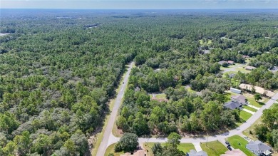 GREAT CORNER LOT! Build Your Dream Home On This High & Dry on Citrus Springs Country Club in Florida - for sale on GolfHomes.com, golf home, golf lot