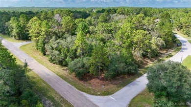 GREAT CORNER LOT! Build Your Dream Home On This High & Dry on Citrus Springs Country Club in Florida - for sale on GolfHomes.com, golf home, golf lot