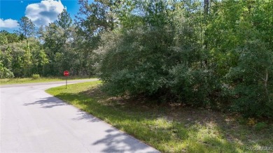 GREAT CORNER LOT! Build Your Dream Home On This High & Dry on Citrus Springs Country Club in Florida - for sale on GolfHomes.com, golf home, golf lot