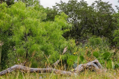 Come Enjoy the One of the Texas Top Resort Places to Live on Slick Rock Golf Course - Horseshoe Bay in Texas - for sale on GolfHomes.com, golf home, golf lot