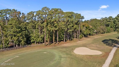 Unique architecture highlights this irresistible one-level home on Brandywine Bay Golf Club in North Carolina - for sale on GolfHomes.com, golf home, golf lot