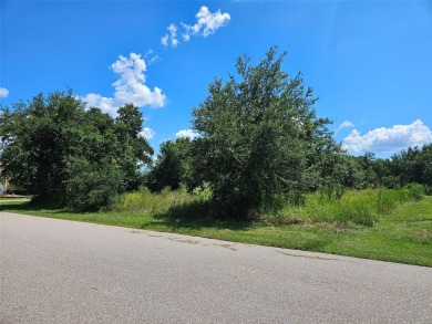 HUGE Deep Creek multi-family zoned lot!!! Located next to the on Deep Creek Golf Club in Florida - for sale on GolfHomes.com, golf home, golf lot
