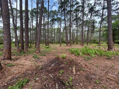 Awesome lot with view of the bay.  Build your new coastal on St. James Bay in Florida - for sale on GolfHomes.com, golf home, golf lot