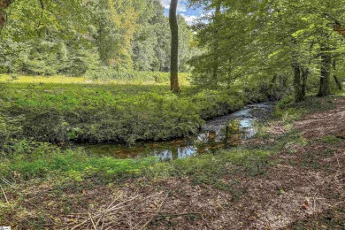 Soak in the beauty and relax in the peaceful mountain setting  on The Cliffs Valley Golf Course in South Carolina - for sale on GolfHomes.com, golf home, golf lot