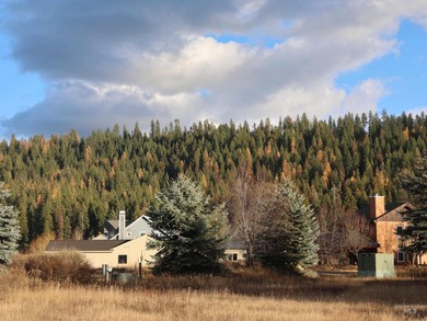 Fantastic location scrunched between Pilgrim Cove, Payette Lake on McCall Municipal Golf Course in Idaho - for sale on GolfHomes.com, golf home, golf lot