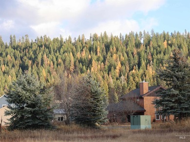 Fantastic location scrunched between Pilgrim Cove, Payette Lake on McCall Municipal Golf Course in Idaho - for sale on GolfHomes.com, golf home, golf lot