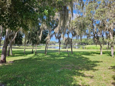 It's true, this beautiful home has just been reduced by $30,000 on Southport Springs Golf Club in Florida - for sale on GolfHomes.com, golf home, golf lot