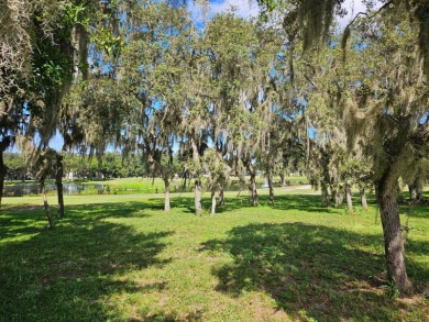 It's true, this beautiful home has just been reduced by $30,000 on Southport Springs Golf Club in Florida - for sale on GolfHomes.com, golf home, golf lot