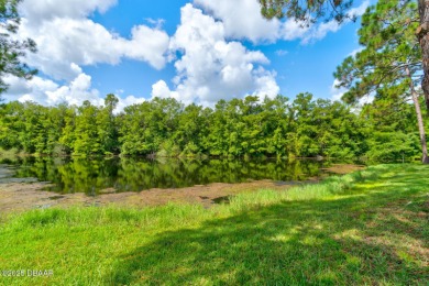 Easy living, zero hassle--perfect for living the Florida on The Club At Pelican Bay - North Course in Florida - for sale on GolfHomes.com, golf home, golf lot