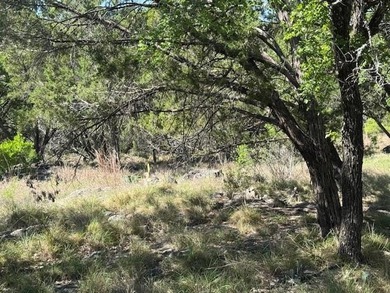 Discover the perfect opportunity to build your dream home in the on Horseshoe Bay Private Golf Course in Texas - for sale on GolfHomes.com, golf home, golf lot