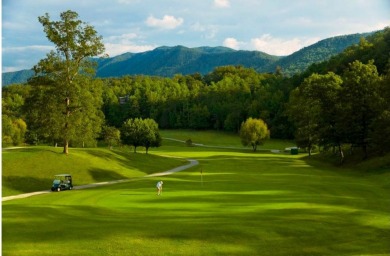 **Discover Your Mountain Paradise in Townsend, TN** Nestled on Laurel Valley Golf Course in Tennessee - for sale on GolfHomes.com, golf home, golf lot