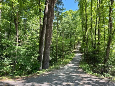 Discover lakeside living in this charming 2-bedroom, 1.5-bath on DeSoto Golf Course in Arkansas - for sale on GolfHomes.com, golf home, golf lot