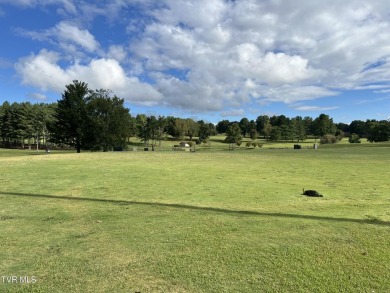 Owner/ Agent 70'x45' PUD lot with golf course views. House must on Country Club of Bristol in Tennessee - for sale on GolfHomes.com, golf home, golf lot